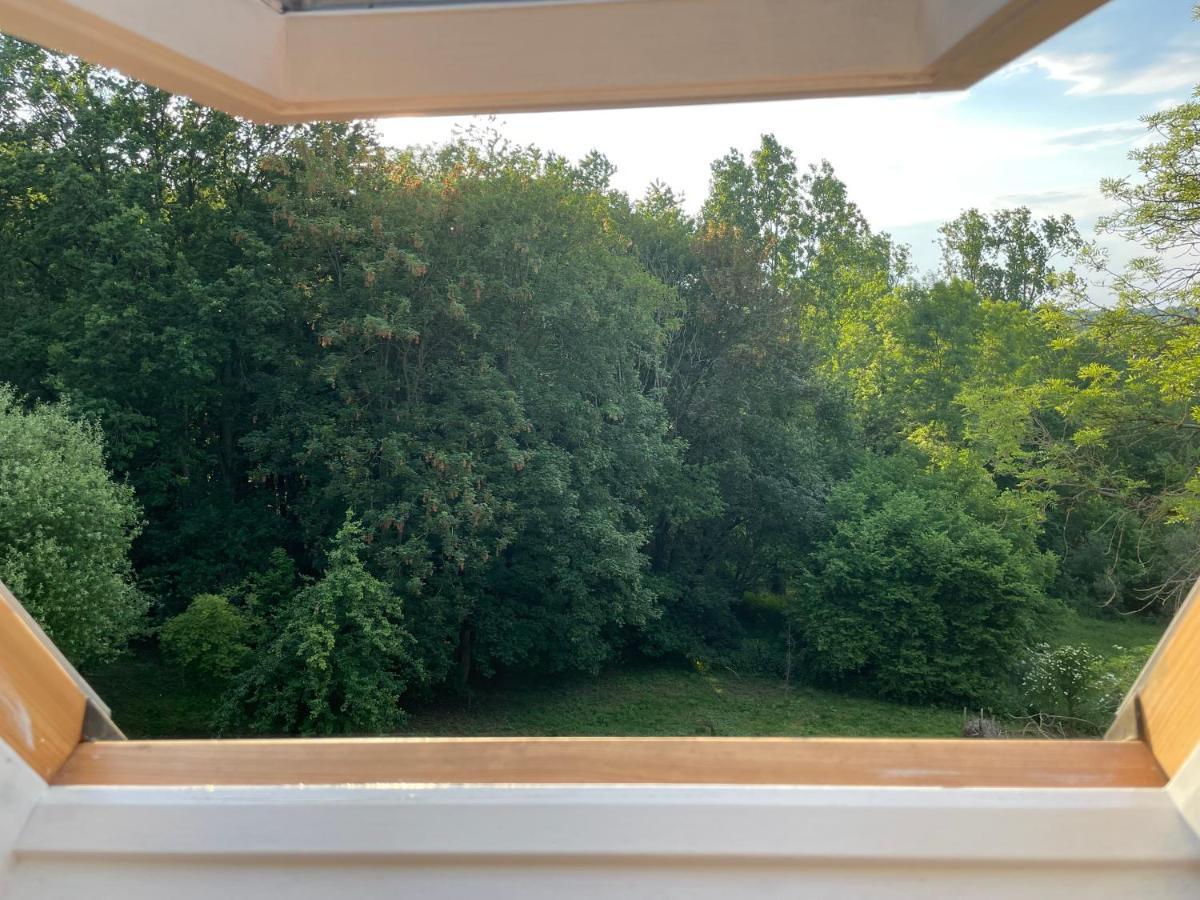 La Canopee Des Arbres, Juliette Ellezelles Exterior foto