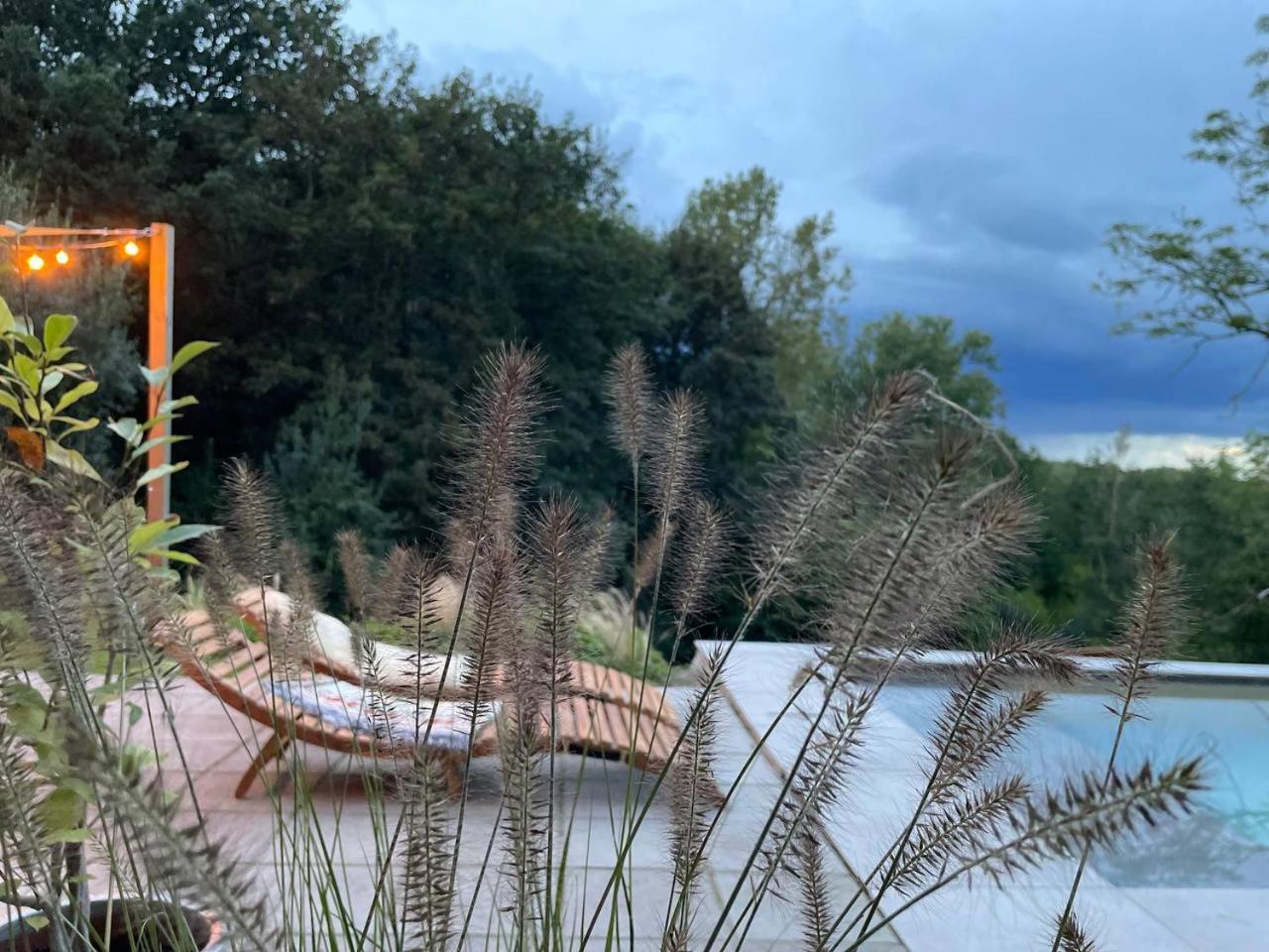 La Canopee Des Arbres, Juliette Ellezelles Exterior foto